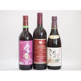国産赤ワイン3本セット(北海道赤ワイン キャンベルアーリ辛口 信州コンコード赤ワイン中口 山梨県産樽