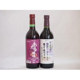 国産赤ワイン2本セット(北海道赤ワイン キャンベルアーリ辛口 信州コンコード甘口赤ワイン) 720m