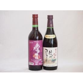 国産赤ワイン2本セット(北海道赤ワイン キャンベルアーリ辛口 信州コンコード赤ワイン中口) 720m