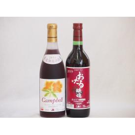 おたるスペシャル2本セット(おたる醸造 生葡萄酒 山ぶどう やや甘口 北海道プレミアムキャンベル赤甘
