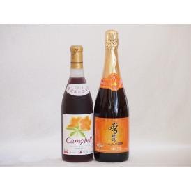 おたるスペシャル2本セット(おたる醸造 スパークリング赤 キャンベルアーリ 甘口 北海道プレミアムキ