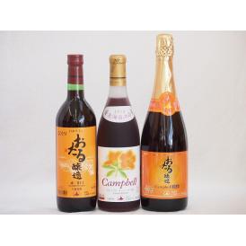 おたるスペシャル3本セット(おたる醸造 スパークリング赤 キャンベルアーリ 甘口 おたる醸造 生葡萄