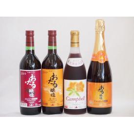 おたるスペシャル4本セット(おたる醸造 スパークリング赤 キャンベルアーリ 甘口 おたる醸造 生葡萄