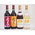 おたるスペシャル4本セット(おたる醸造 生葡萄酒 山ぶどう やや甘口 おたる醸造 生葡萄酒 赤 甘口