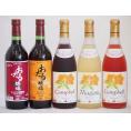 おたるスペシャル5本セット(おたる醸造 生葡萄酒 山ぶどう やや甘口 おたる醸造 生葡萄酒 赤 甘口