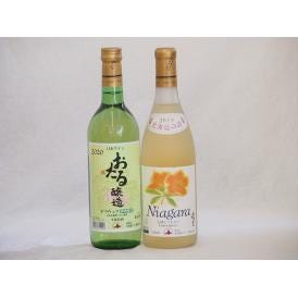 おたる白ワイン2本セット(おたる醸造 デラウェア 生葡萄酒 やや甘口 北海道完熟ナイアガラ白ワイン甘