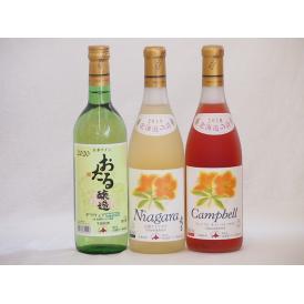 おたるスペシャル3本セット(おたる醸造 デラウェア 生葡萄酒 やや甘口 北海道完熟ナイアガラ白ワイン