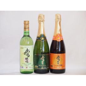 おたるスペシャル3本セット(おたる醸造 スパークリング赤 キャンベルアーリ 甘口 おたる醸造 ナイア