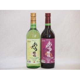 おたるスペシャル2本セット(北海道赤ワイン キャンベルアーリ辛口 おたる醸造 デラウェア 生葡萄酒 