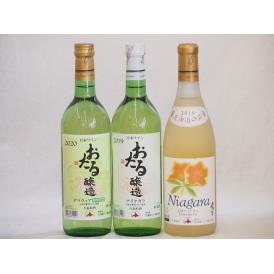 おたるスペシャル3本セット(おたる醸造 デラウェア 生葡萄酒 やや甘口 北海道完熟ナイアガラ白ワイン