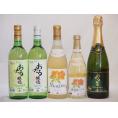 おたるスペシャル5本セット(おたる醸造 ナイアガラスパークリング白やや甘口 おたる醸造 デラウェア 