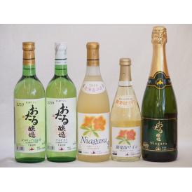 おたるスペシャル5本セット(おたる醸造 ナイアガラスパークリング白やや甘口 おたる醸造 デラウェア 