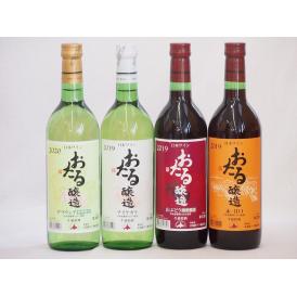 おたるスペシャル4本セット(おたる醸造 生葡萄酒 山ぶどう やや甘口 おたる醸造 生葡萄酒 赤 甘口