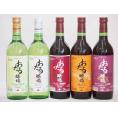 おたるスペシャル5本セット(おたる醸造 生葡萄酒 山ぶどう やや甘口 おたる醸造 生葡萄酒 赤 甘口