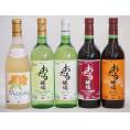 おたるスペシャル5本セット(おたる醸造 生葡萄酒 山ぶどう やや甘口 おたる醸造 生葡萄酒 赤 甘口