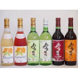 おたるスペシャル6本セット(おたる醸造 生葡萄酒 山ぶどう やや甘口 おたる醸造 生葡萄酒 赤 甘口