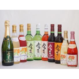 おたるスペシャル10本セット(おたる醸造 ナイアガラスパークリング白やや甘口 おたる醸造 生葡萄酒 
