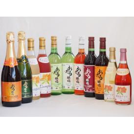 おたるスペシャル11本セット(おたる醸造 スパークリング赤 キャンベルアーリ 甘口 おたる醸造 ナイ