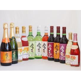 おたるスペシャル12本セット(おたる醸造 スパークリング赤 キャンベルアーリ 甘口 おたる醸造 ナイ