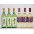 デラウェア6本セット(おたる醸造 デラウェア 生葡萄酒 やや甘口 山梨県 デラウェア やや辛口) 7