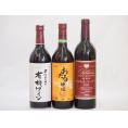飲み比べおすすめ赤ワイン3本セット(おたる醸造 生葡萄酒 赤 甘口 山梨県産樽熟成マスカット・ベーリ