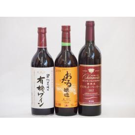 飲み比べおすすめ赤ワイン3本セット(おたる醸造 生葡萄酒 赤 甘口 山梨県産樽熟成マスカット・ベーリ