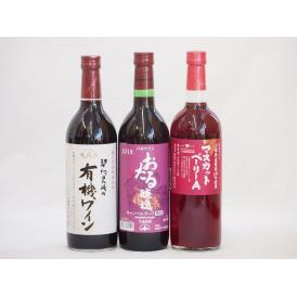 飲み比べおすすめ赤ワイン3本セット(北海道赤ワイン キャンベルアーリ辛口 山梨県マスカットベーリーA