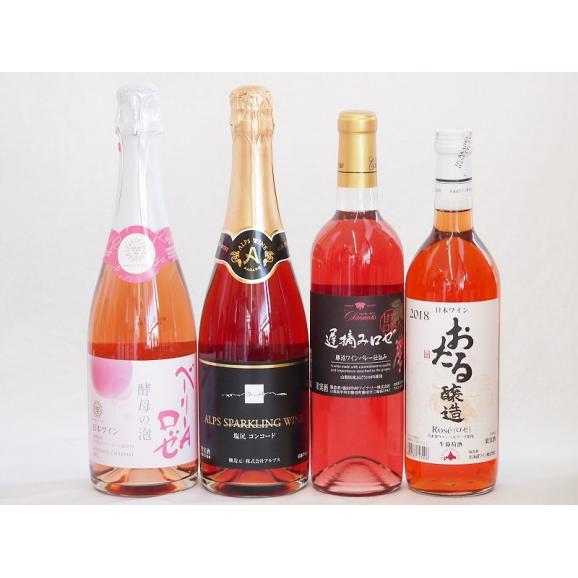 国産葡萄100%赤ワイン3本セット(信州コンコード中口 北海道