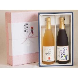 感謝の贈物ボックス ワイン蔵のジュース2本セット(信州りんご果汁100% 有機コンコードぶどう果汁1