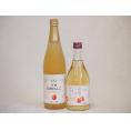 りんご2本セット(信州りんご果汁100% 信州りんごワインalc4%) 710ml×1本 500ml