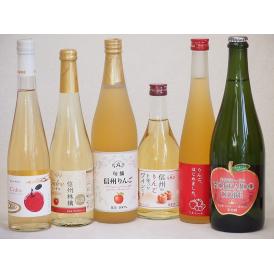 りんご6本セット(信州りんご果汁100% 北海道シードルやや甘口 丹波シードルやや甘口 りんご梅酒 