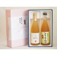夏の贈り物お中元 感謝の贈物ボックス 果汁100％ジュースと果物梅酒2本セット(信州りんご果汁100% 国産シークァー