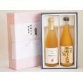 夏の贈り物お中元 感謝の贈物ボックス 果汁100％ジュースと果物梅酒2本セット(信州りんご果汁100% 5種の和歌山県