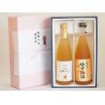夏の贈り物お中元 感謝の贈物ボックス 果汁100％ジュースと果物梅酒2本セット(信州りんご果汁100% ぷかぷか柚子の