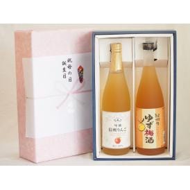 夏の贈り物お中元 感謝の贈物ボックス 果汁100％ジュースと果物梅酒2本セット(信州りんご果汁100% ぷかぷか柚子の