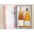 夏の贈り物お中元 感謝の贈物ボックス 果汁100％ジュースと果物梅酒2本セット(有機ナイアガラぶどう果汁100％ 有田