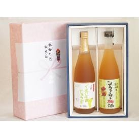 夏の贈り物お中元 感謝の贈物ボックス 果汁100％ジュースと果物梅酒2本セット(有機ナイアガラぶどう果汁100％ 国産