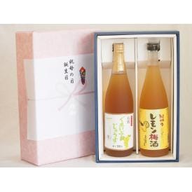 夏の贈り物お中元 感謝の贈物ボックス 果汁100％ジュースと果物梅酒2本セット(有機ナイアガラぶどう果汁100％ 和歌