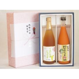 夏の贈り物お中元 感謝の贈物ボックス 果汁100％ジュースと果物梅酒2本セット(有機ナイアガラぶどう果汁100％ ７種
