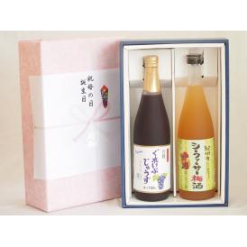 夏の贈り物お中元 感謝の贈物ボックス 果汁100％ジュースと果物梅酒2本セット(有機コンコードぶどう果汁100％ 国産