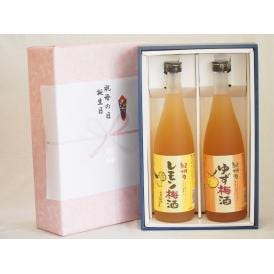夏の贈り物お中元 感謝の贈物ボックス 果物梅酒2本セット(和歌山県産レモン梅酒 ぷかぷか柚子の香りゆず梅酒) 720m