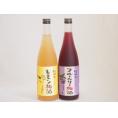 果物梅酒2本セット(岩手県産ブルーベリー梅酒 和歌山県産レモン梅酒) 720ml×2本