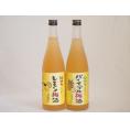 果物梅酒2本セット(和歌山県産レモン梅酒 沖縄県産パイナップル梅酒) 720ml×2本