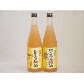 果物梅酒2本セット(和歌山県産レモン梅酒 沖縄県産パイナップル梅酒) 720ml×2本