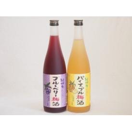 果物梅酒2本セット(岩手県産ブルーベリー梅酒 沖縄県産パイナップル梅酒) 720ml×2本