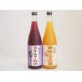 果物梅酒2本セット(岩手県産ブルーベリー梅酒 5種の和歌山県産柑橘ミックス梅酒) 720ml×2本