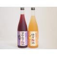 果物梅酒2本セット(岩手県産ブルーベリー梅酒 ぷかぷか柚子の香りゆず梅酒) 720ml×2本
