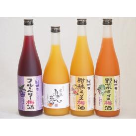 果物梅酒4本セット(岩手県産ブルーベリー梅酒 5種の和歌山県産柑橘ミックス梅酒 ７種の国産野菜ミック
