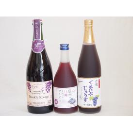 ぶどう果汁100％ジュースと果物ワイン3本セット(有機コンコードぶどう果汁100％ 信州巨峰ワインa