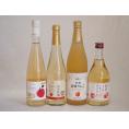 りんご果汁100％ジュースとりんごのお酒4本セット(信州りんご果汁100% 丹波シードルやや甘口 信